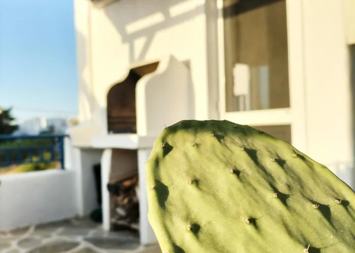 Angelina Greek House アパート パロス島